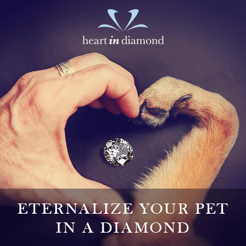 Memorialize Your Pet Forever in a Diamond, Heart In Diamond