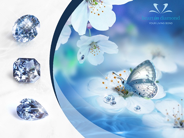 Tips for cremation diamond color 3 Types of blue memorial diamonds, white flowers and a butterfly on a blue background