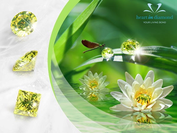 3 Types of green diamonds, image of nature and flowers on a green background