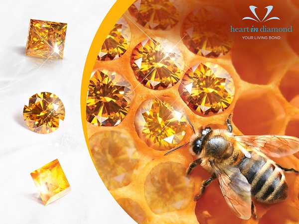 3 Types of orange diamonds, an orange honey bee an orange background