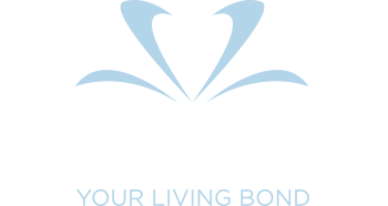Heart In Diamond | Cremation Diamonds & Hair to Diamonds