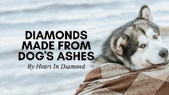 Urns for pet ashes? Consider diamonds instead